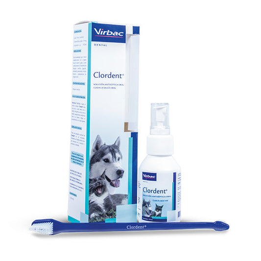 CLORDENT ANTISEPTICO FRASCO X 120 ML