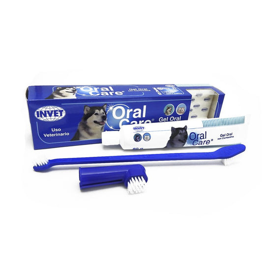 ORAL CARE 80GM