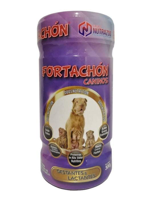 FORTACHON GESTANTES LACTANTE 300GR