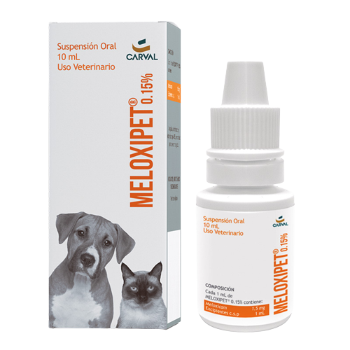 MELOXIPET X 10ML