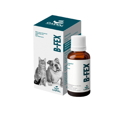 B-FEX ORAL X 60ML