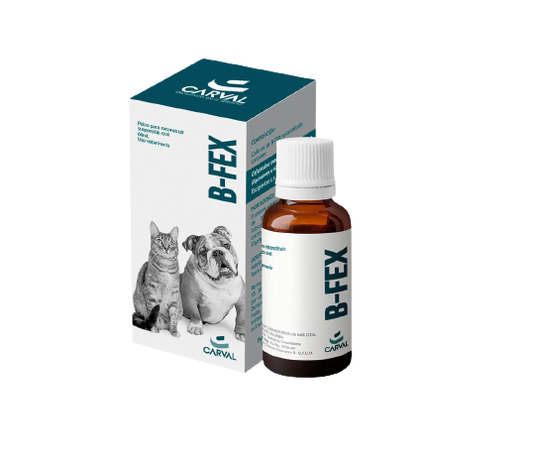 B-FEX ORAL X 60ML