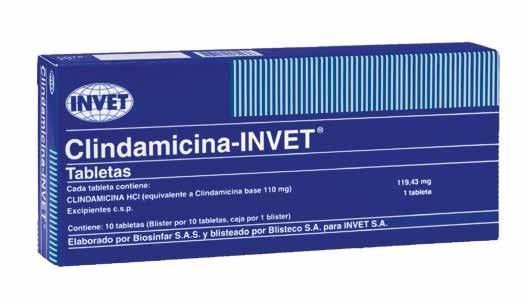 CLINDAMICINA INVET X TABLETA